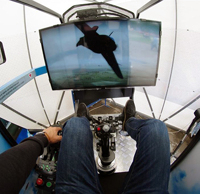 Виртуальное пилотирование Fly Motion (12 минут) от poletomania Виртуальное пилотирование Fly Motion (12 минут) от poletomania