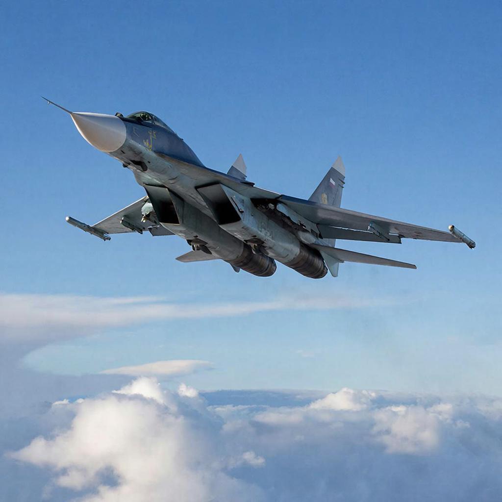 mig.jpg