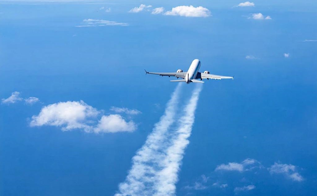 fly.jpg